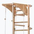 RINAGYM ECO-PINE+SLIDE gymnastic ladder 3