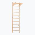 RINAGYM SPR C Pure gymnastic ladder