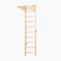 RINAGYM SPR C Pure gymnastic ladder 2