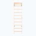 RINAGYM SPR C Pure gymnastic ladder 3