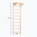 RINAGYM SPR C Pure gymnastic ladder 5