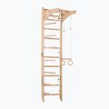 RINAGYM gymnastic ladder SPR C