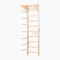 RINAGYM gymnastic ladder SPR C 2