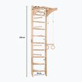 RINAGYM gymnastic ladder SPR C 3