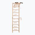 RINAGYM SPR A gymnastic ladder
