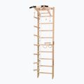 RINAGYM SPR A gymnastic ladder 2