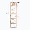 RINAGYM SPR A gymnastic ladder 3