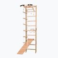 RINAGYM SPR A+SLIDE gymnastic ladder 2