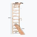 RINAGYM SPR A+SLIDE gymnastic ladder 3