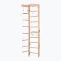 RINAGYM gymnastic ladder SPR B 2