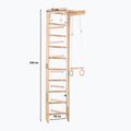 RINAGYM gymnastic ladder SPR B 3