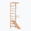 RINAGYM SPR B+SLIDE gymnastic ladder
