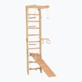 RINAGYM SPR B+SLIDE gymnastic ladder 2