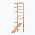 RINAGYM SPR B+SLIDE gymnastic ladder 3