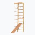 RINAGYM SPR B+SLIDE gymnastic ladder 4
