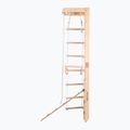 RINAGYM SPR B+SLIDE gymnastic ladder 5