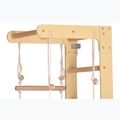 RINAGYM SPR B+SLIDE gymnastic ladder 6