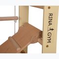 RINAGYM SPR B+SLIDE gymnastic ladder 9