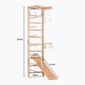 RINAGYM SPR B+SLIDE gymnastic ladder 10