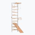 RINAGYM SPR B+SLIDE gymnastic ladder