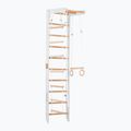 RINAGYM gymnastic ladder SPR B white