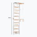 RINAGYM gymnastic ladder SPR B white 2