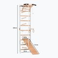 RINAGYM SPR A+SLIDE gymnastic ladder 2