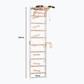 RINAGYM gymnastic ladder SPR A white 2