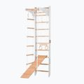Gymnastic ladder RINAGYM SPR C+SLIDE