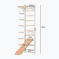 Gymnastic ladder RINAGYM SPR C+SLIDE 2
