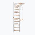 Gymnastic ladder RINAGYM SPR C white