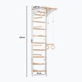 Gymnastic ladder RINAGYM SPR C white 2