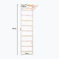 RINAGYM gymnastic ladder SPR C pure white 2