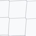 Sportpoland goal net 732 x 244 cm white 3655