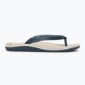 Men's Ipanema Anatomic Lapa beige/blue flip flops 2
