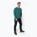 Men's trekking shirt Black Diamond Alpenglow Crew green AP7520923028SML1 2