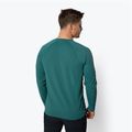 Men's trekking shirt Black Diamond Alpenglow Crew green AP7520923028SML1 3