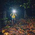 Black Diamond Dawn Patrol men's softshell jacket yellow APP1SD2007LRG1 9