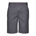 Men's Black Diamond Terrain grey climbing shorts AP751098 5