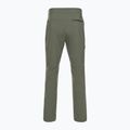 Men's Black Diamond Technician Alpine climbing trousers green AP751105 4