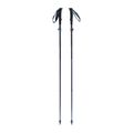 Black Diamond Distance FLZ grey BD11253310161101 trekking poles