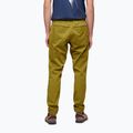 Men's climbing trousers Black Diamond Notion light green AP7500603039SML1 2