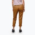 Women's climbing trousers Black Diamond Notion SP brown AP7500612014LRG1 3