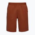 Men's Black Diamond Sierra burnt sienna shorts 4