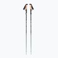 Black Diamond Pursuit Flz Trekking poles black / foam green