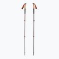 Black Diamond Trail Cork Trekking poles fig.