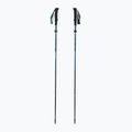 Black Diamond Distance Carbon Flz desert sky trekking poles