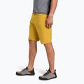 Men's shorts Black Diamond Valley amber 3