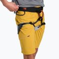 Men's shorts Black Diamond Valley amber 7