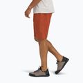 Men's shorts Black Diamond Valley burnt sienna 2